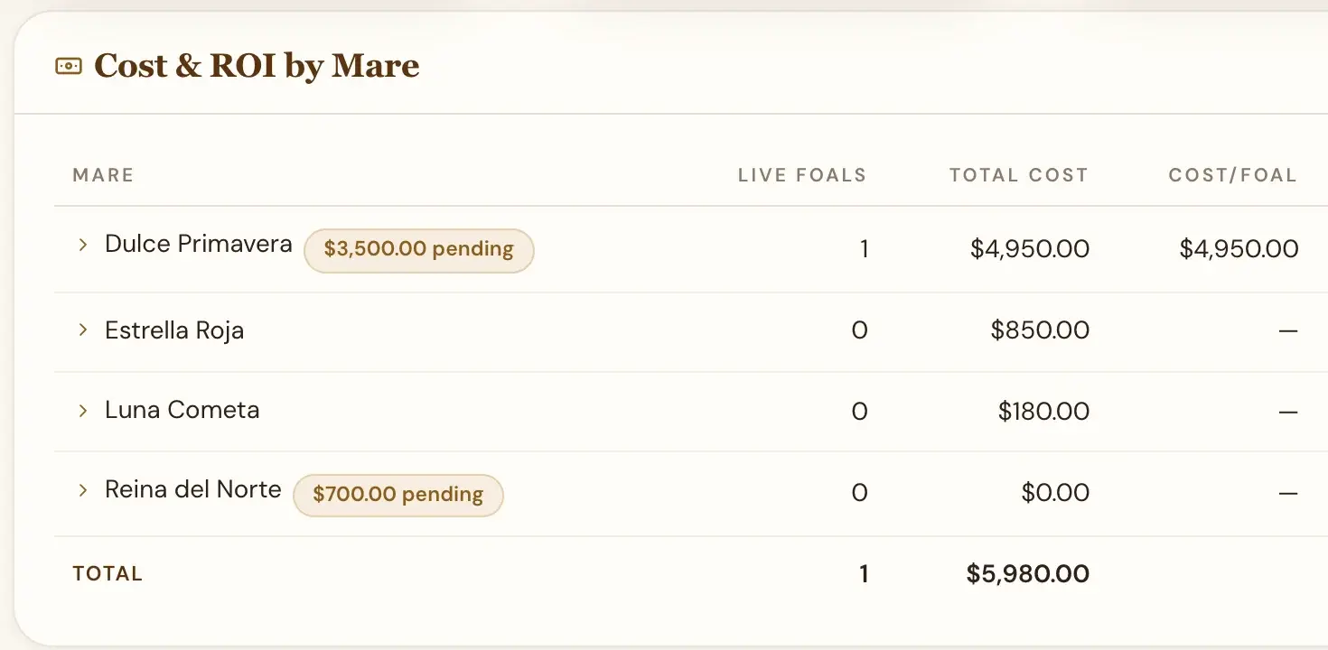 Breeding report table of four mares with live foals, total cost and cost per foal